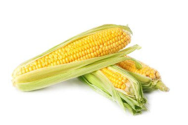 Beyaz arka planda kabuğu olan olgun çiğ mısır koçanları.
