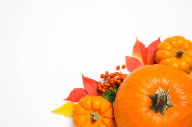 Olgun balkabaklarıyla bembeyaz arka planda sonbahar yapraklarıyla düz kompozisyon, yazı için boşluk. Şükran günün kutlu olsun.