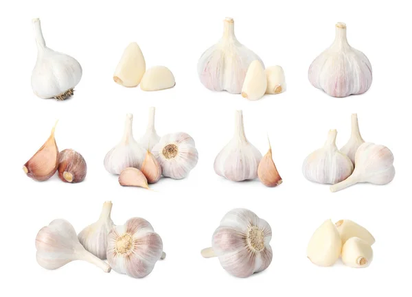 Set Garlic Bulbs Cloves White Background — Stock Photo, Image