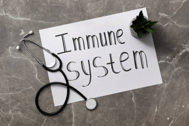 Gri masa üzerinde metin bağışıklık sistemi, steteskop ve ev bitkisi olan kağıt sayfa, düz yatıyordu