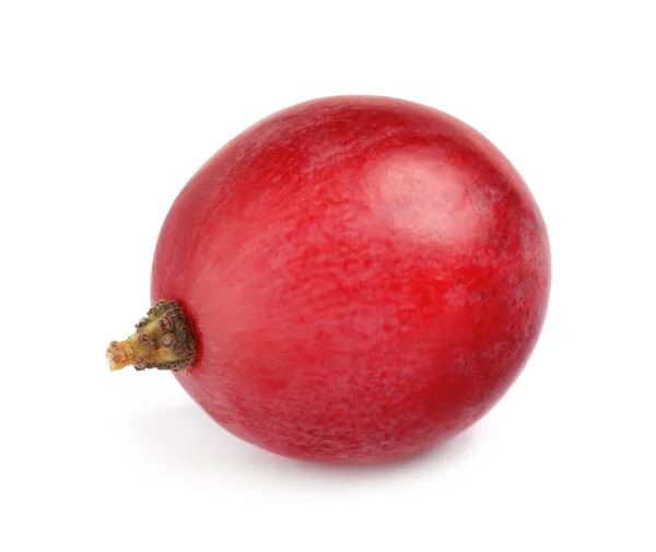 Pyszne Dojrzałe Czerwone Winogrona Izolowane Białym — Zdjęcie stockowe