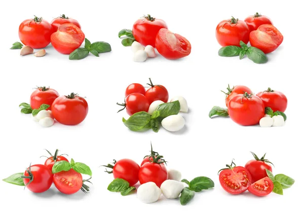 Σετ Ώριμες Κόκκινες Ντομάτες Μπάλες Μοτσαρέλα Σκόρδο Και Φύλλα Πράσινου — Φωτογραφία Αρχείου
