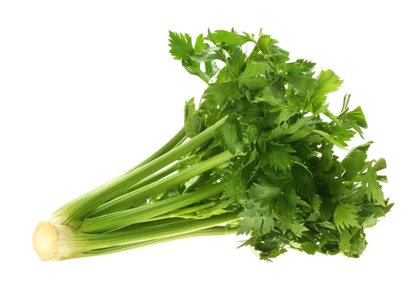 Čerstvě Zelený Celer Parta Izolované Bílém — Stock fotografie