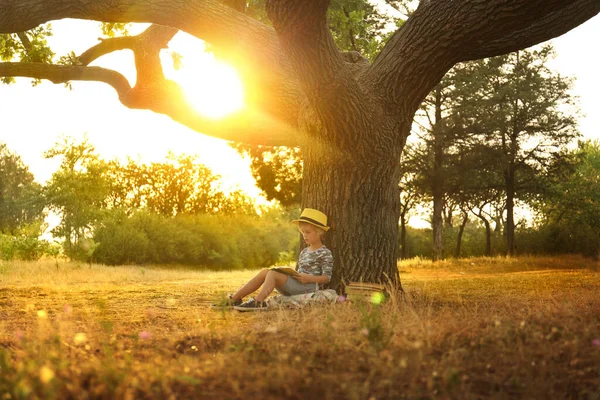 Cute Little Boy Czytania Książki Pobliżu Drzewa Parku — Zdjęcie stockowe