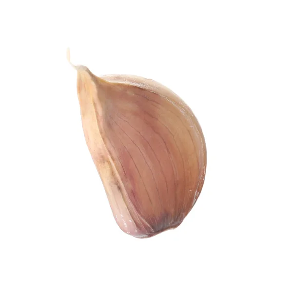 Fresh Unpeeled Garlic Clove White Background Stock Photo by ©NewAfrica