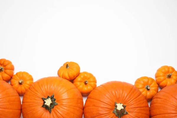 Verse Rijpe Pompoenen Witte Achtergrond Bovenaanzicht Ruimte Voor Tekst — Stockfoto