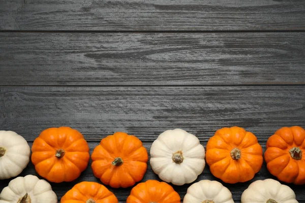 Verschillende Rijpe Pompoenen Zwarte Houten Tafel Plat Gelegd Ruimte Voor — Stockfoto