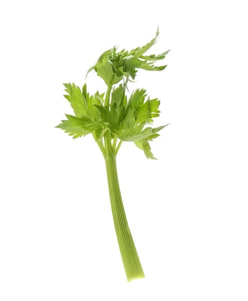 Tige Céleri Vert Frais Avec Des Feuilles Isolées Sur Blanc — Photo