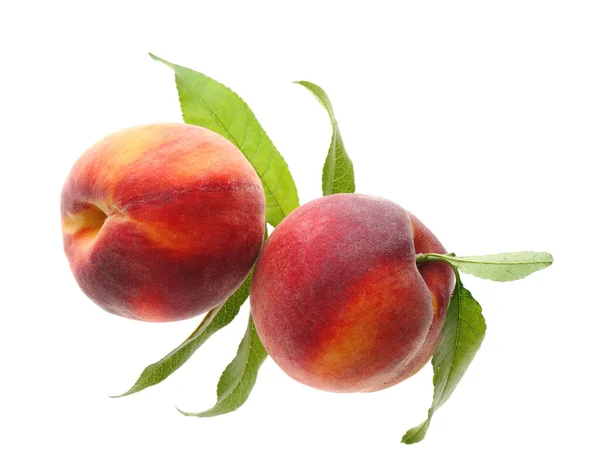 Delicious Ripe Juicy Peaches Leaves Isolated White Top View — Stock Photo, Image