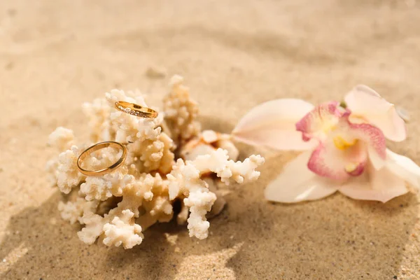 Vacker Blomma Och Korall Med Guld Vigselringar Sandstrand Närbild — Stockfoto