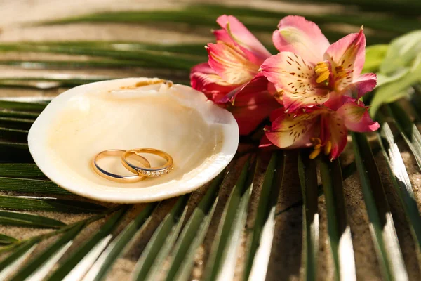 Skal Med Guld Vigselringar Och Vackra Blommor Sandstrand Närbild — Stockfoto