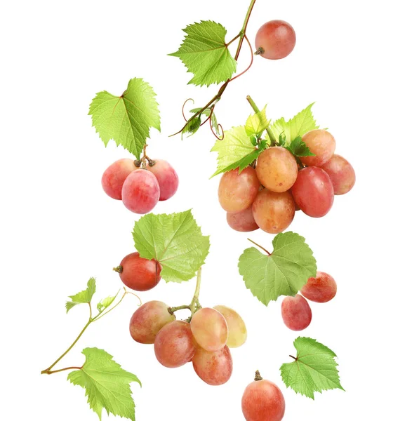 Fresh Ripe Grapes Green Leaves Falling White Background — Stock Photo, Image