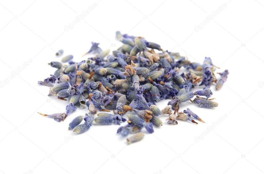 Heap of beautiful lavender flowers on white background