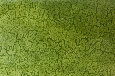 Arka plan olarak lezzetli olgun Charleston gri karpuz, yakın plan