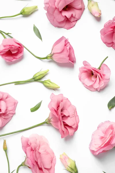 Mooie Roze Eustoma Bloemen Witte Achtergrond Plat Gelegd — Stockfoto