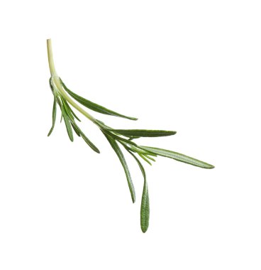 Taze biberiye beyazda izole edilmiş. Sıcak şarap malzemesi.