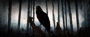 Black crow croaking in creepy misty forest, banner design. Fantasy world clipart