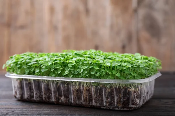 Świeże Organiczne Mikrozielone Plastikowym Pojemniku Drewnianym Stole Zbliżenie — Zdjęcie stockowe