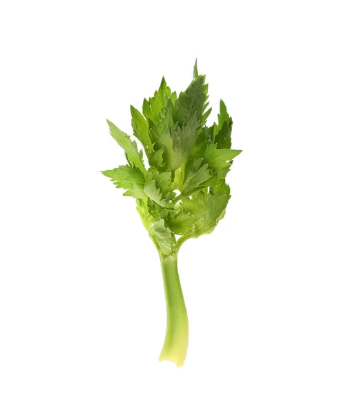 Fresh Green Celery Stem Leaves Isolated White — Stock Photo, Image