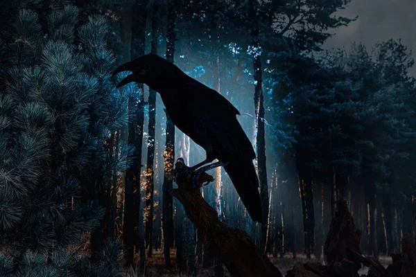 Cuervo Negro Cantando Bosque Espeluznante Mundo Fantasía — Foto de Stock