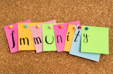 Kelime dokunulmazlığı mantar panoya iğnelenmiş renkli notlar