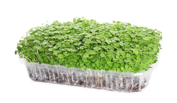 Färsk Ekologisk Mikrogrön Plastbehållare Vit Bakgrund — Stockfoto