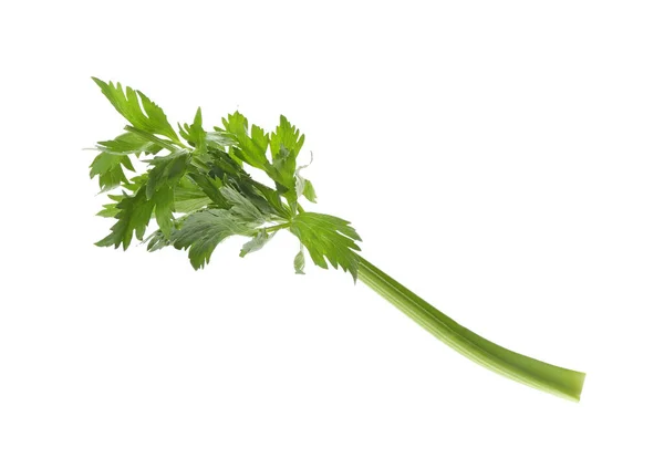 Świeże Zielone Łodygi Selera Liśćmi Wyizolowanymi Białym — Zdjęcie stockowe