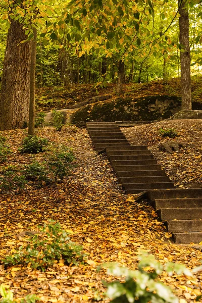 Schöne Aussicht Auf Park Mit Bäumen Und Treppen Herbsttag — Stockfoto