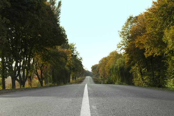 Bella Vista Autostrada Asfaltata Vuota Alberi Autunnali — Foto Stock