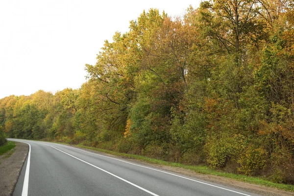 Belle Vue Sur Route Asphaltée Vide Les Arbres Automne — Photo