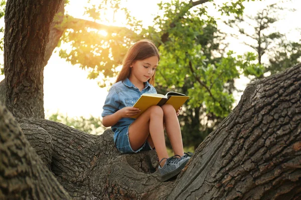 Linda Niña Leyendo Libro Sobre Árbol Parque — Foto de Stock