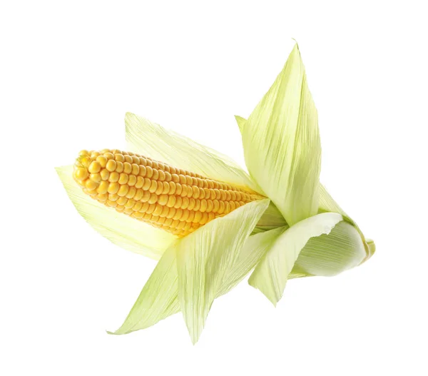 成熟的生玉米芯 壳在白色上分离 — 图库照片