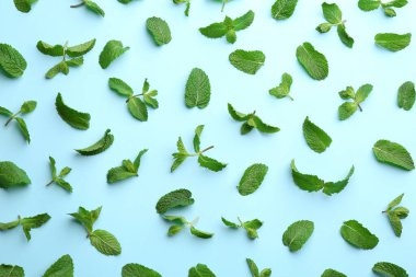 Açık mavi zemin üzerinde taze nane yaprakları, düz uzanmış