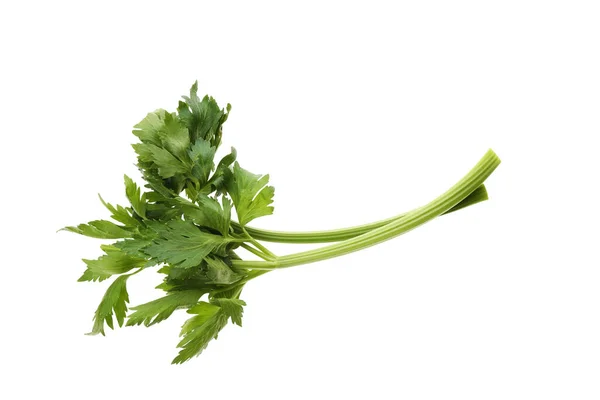 新鲜的绿色芹菜茎 叶子与白色隔离 — 图库照片