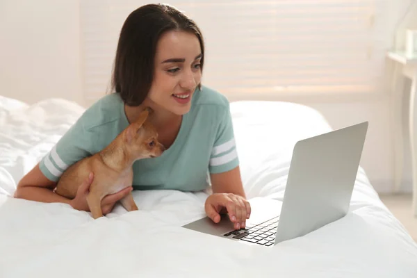 Young Woman Chihuahua Laptop Bed Home Office Concept — Stock Photo, Image