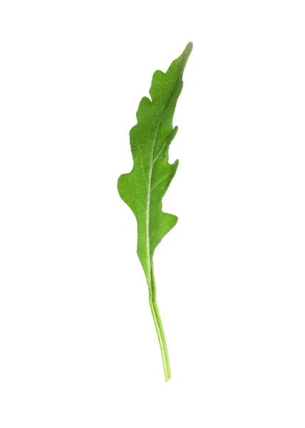 Blad Färsk Ruccola Isolerad Vit — Stockfoto