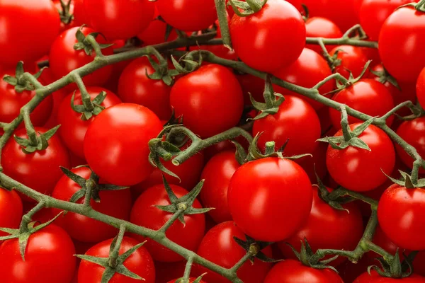 Tomates Cereja Maduros Frescos Como Fundo Close — Fotografia de Stock