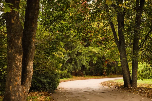 가을에 나무가 공원의 아름다운 — 스톡 사진