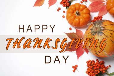 Şükran Günü kartın kutlu olsun. Beyaz zemin üzerinde balkabakları, böğürtlenler ve sonbahar yaprakları ile düz bir bileşim yatıyordu