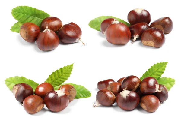 Set Castagne Dolci Commestibili Con Foglie Verdi Sfondo Bianco — Foto Stock