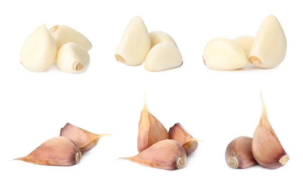 Set Fresh Garlic Cloves White Background — Stock Photo, Image