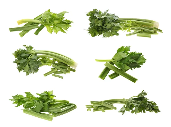 Collage Fresh Green Celery White Background — Stock Photo, Image