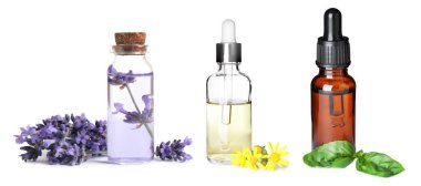 Beyaz arka planda aromaterapi için farklı temel yağlar, afiş tasarımı