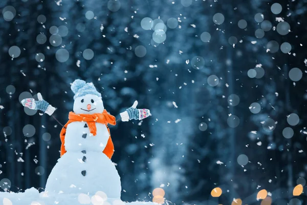 Fiocchi Neve Che Cadono Pupazzo Neve Foresta Effetto Bokeh — Foto Stock