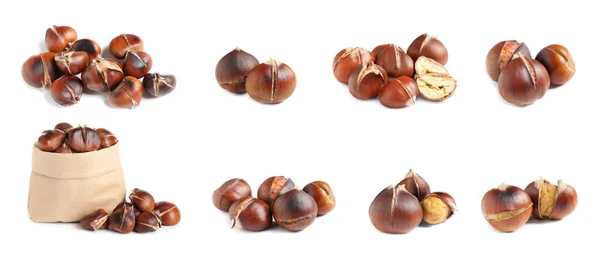 Set Sweet Roasted Edible Chestnuts Isolated White Banner Design — Stock Photo, Image