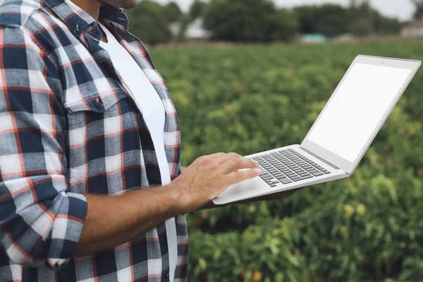 Facet Używający Laptopa Pustym Ekranem Terenie Zbliżenie Technologia Rolnicza — Zdjęcie stockowe