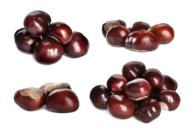 Beyaz at kestanesi seti.