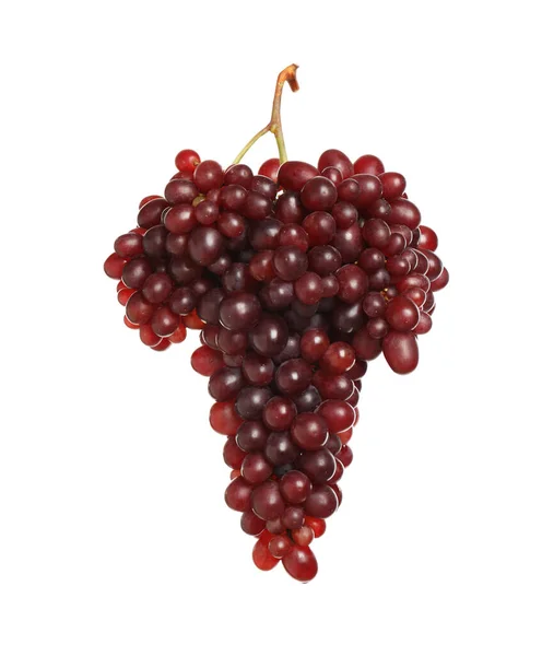 白葡萄上的新鲜成熟多汁的红葡萄 — 图库照片