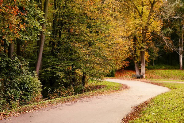 Piękny Widok Park Drzewami Jesienny Dzień — Zdjęcie stockowe