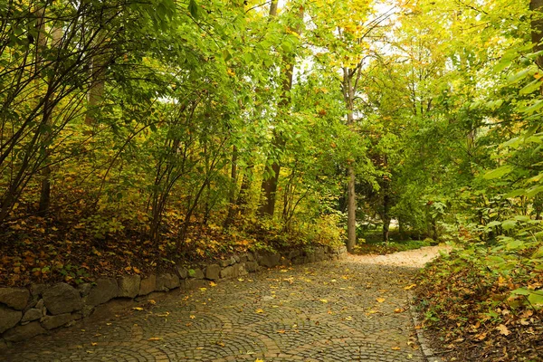 秋の日に木のある公園の美しい景色 — ストック写真